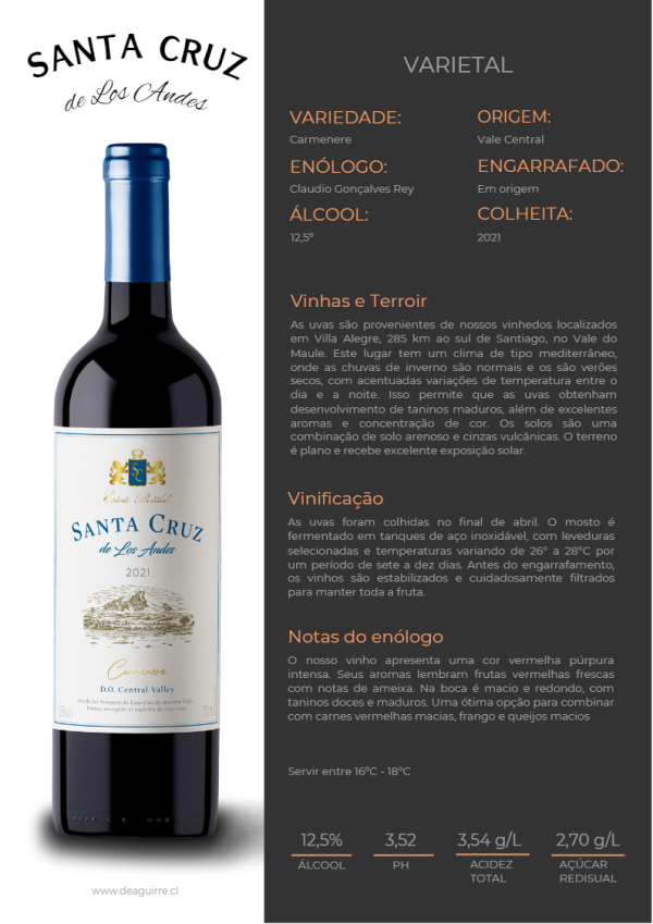 Vinho Santa Cruz de los Andes  Carmenere - Imagem 3